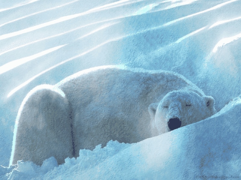 医院试管的建议试管移植针灸治疗花钱请人做试管