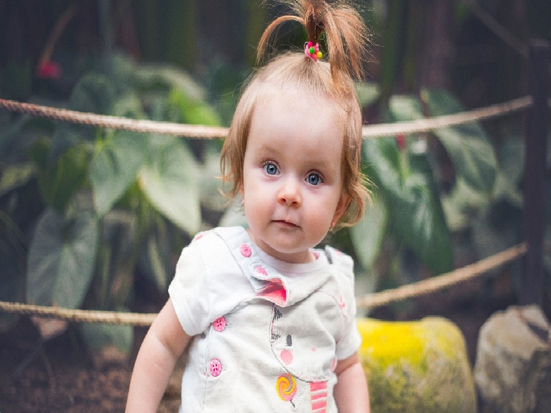 试管可以不用精肝功异常做试管芮培试管婴儿费用